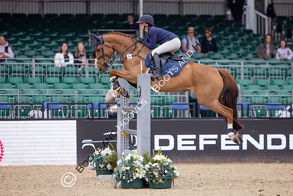 Royal Windsor Horse Show