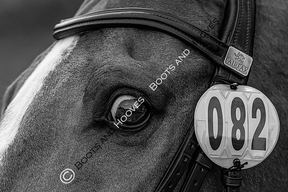 Badminton Horse Trials
