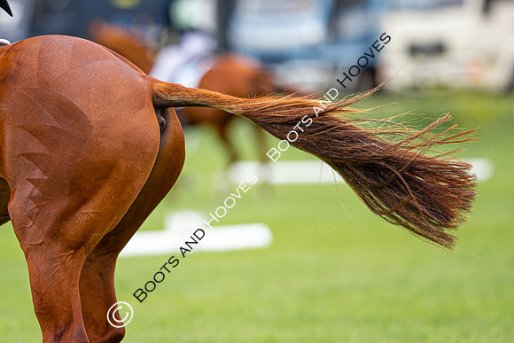 Horse Trials