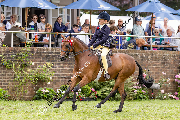 The Agria Royal International Horse Show
