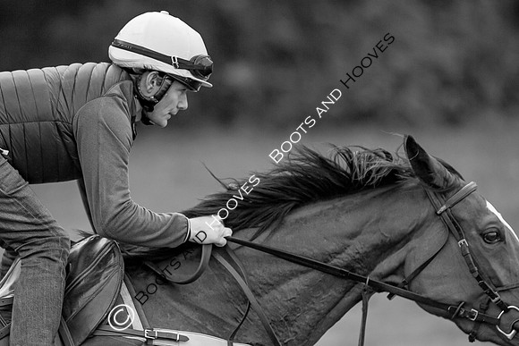 Newmarket