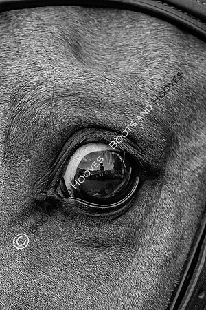 Badminton Horse Trials