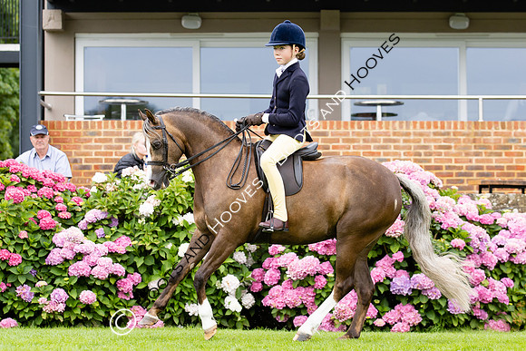 The Agria Royal International Horse Show