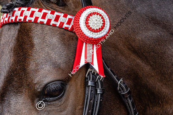 The Agria Royal International Horse Show