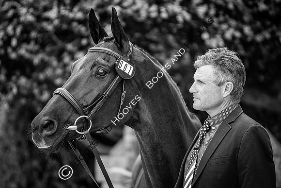 Badminton Horse Trials