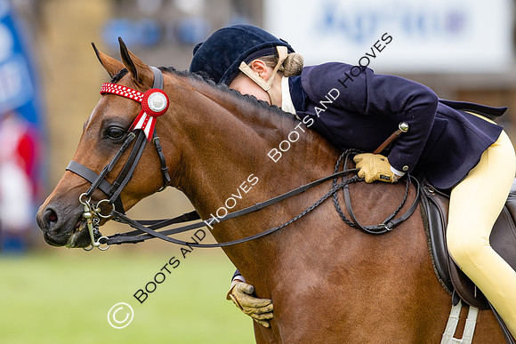 The Agria Royal International Horse Show