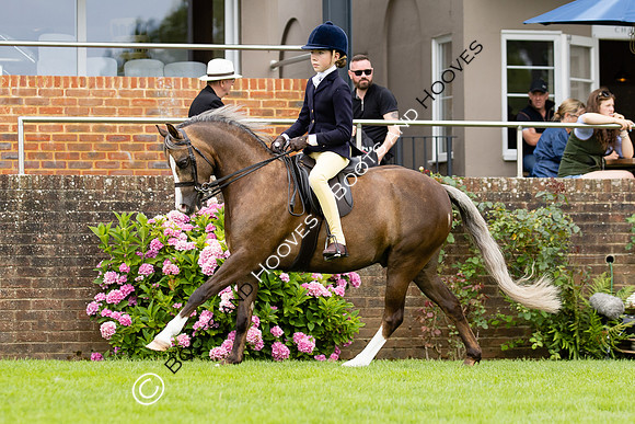 The Agria Royal International Horse Show