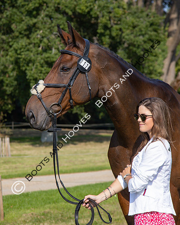 Blenheim Palace International Horse Trials