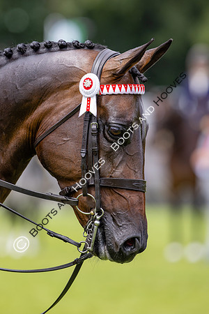 The Agria Royal International Horse Show