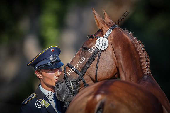 Blenheim Palace International Horse Trials