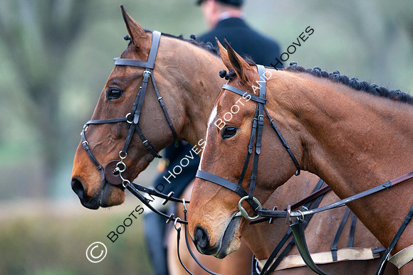 The Ledbury Hunt