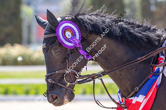 FEI Junior European Championship Young Riders, Juniors & Childre