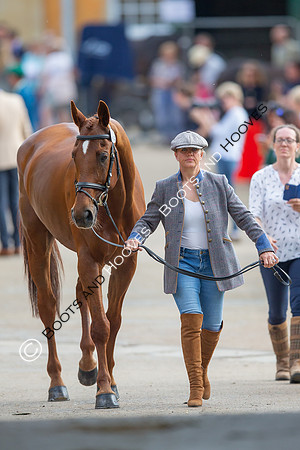 Badminton Horse Trials