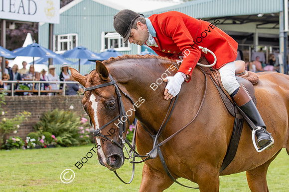 The Agria Royal International Horse Show