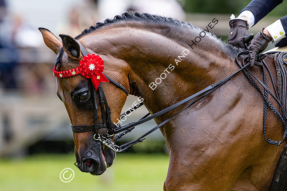 The Agria Royal International Horse Show