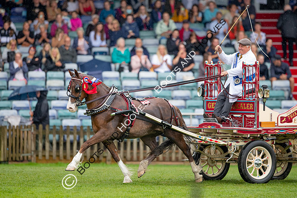 The Prenetics Royal International Horse Show