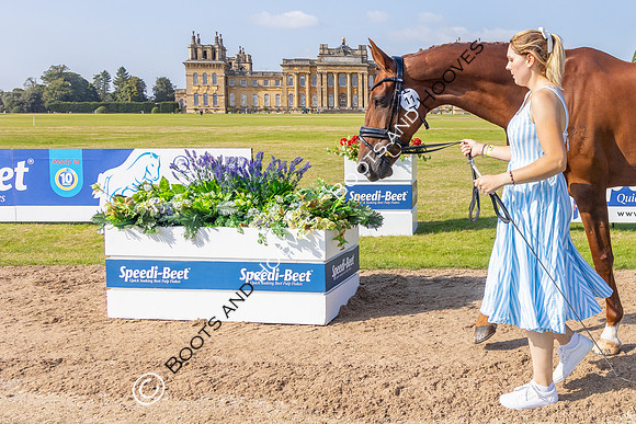 Blenheim Palace International Horse Trials