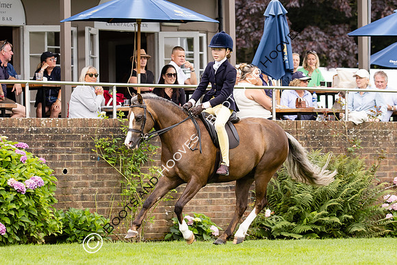 The Agria Royal International Horse Show