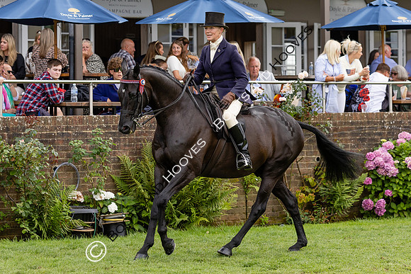 The Agria Royal International Horse Show