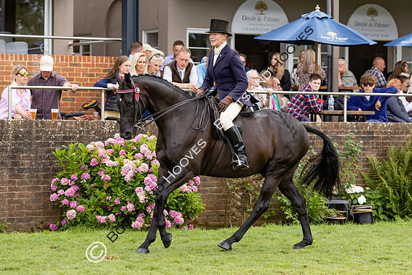 The Agria Royal International Horse Show