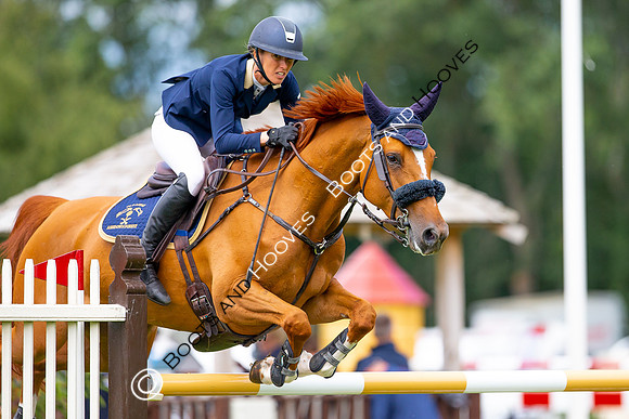 Showjumping