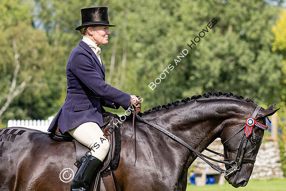The Agria Royal International Horse Show