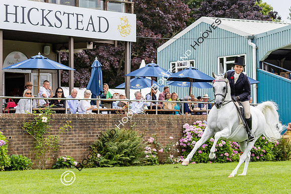 The Agria Royal International Horse Show