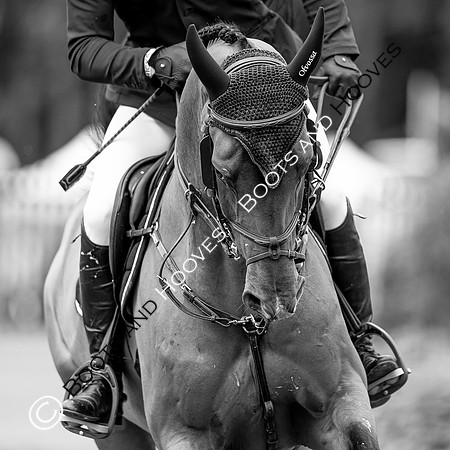 Showjumping