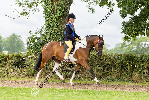 The Royal International Horse Show