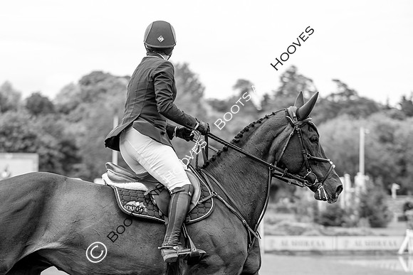 Showjumping