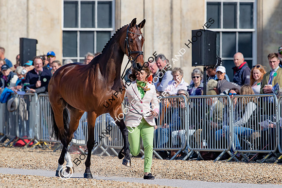 Badminton Horse Trials