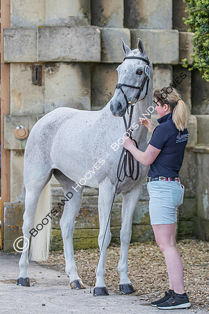Badminton Horse Trials