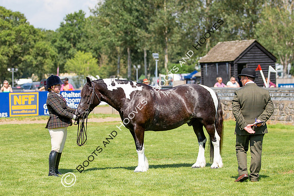 The Prenetics Royal International Horse Show