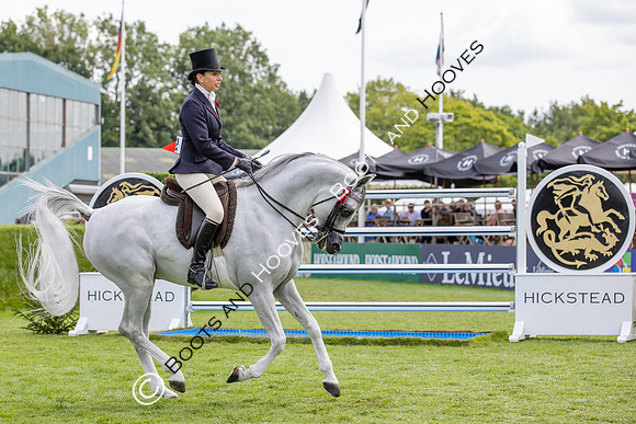 The Agria Royal International Horse Show
