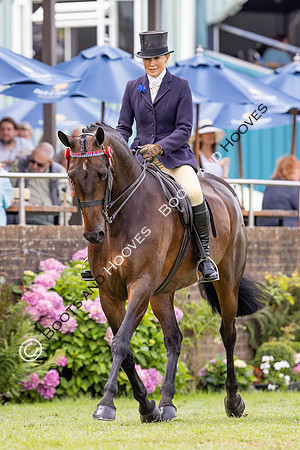 The Agria Royal International Horse Show