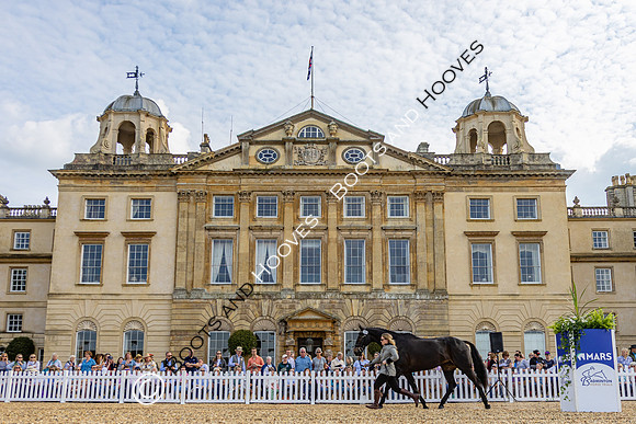 Badminton Horse Trials