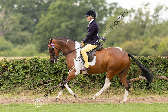 The Royal International Horse Show