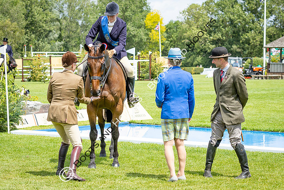 The Al Shira'aa Hickstead Derby Meeting