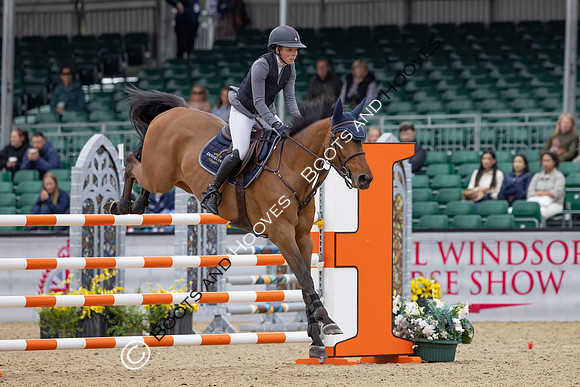 Royal Windsor Horse Show