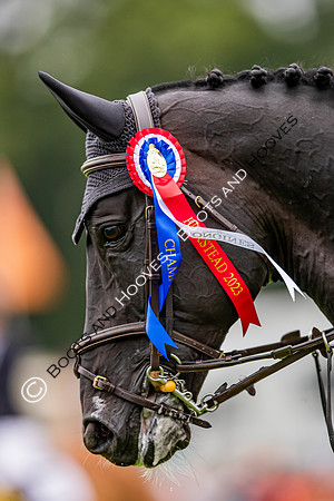 The Longines Royal International Horse Show