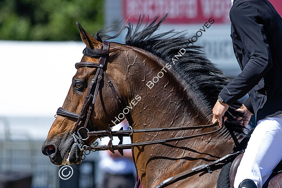 Royal Windsor Horse Show