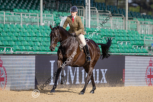 Royal Windsor Horse Show