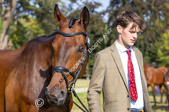 Blenheim Palace International Horse Trials