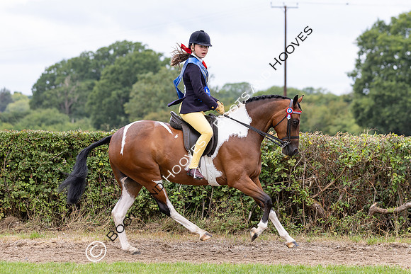 The Royal International Horse Show