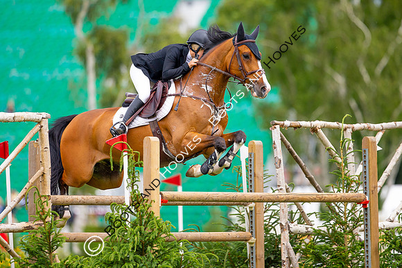 Showjumping