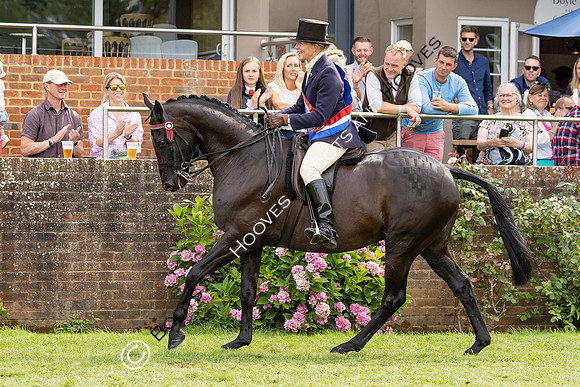 The Agria Royal International Horse Show