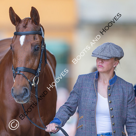 Badminton Horse Trials