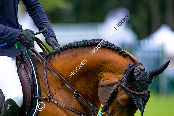 Showjumping