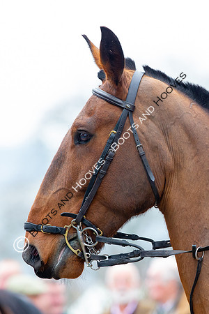 The Ledbury Hunt