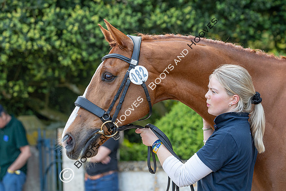 Badminton Horse Trials